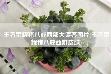 王者荣耀猪八戒西部大镖客图片(王者荣耀猪八戒西游皮肤)