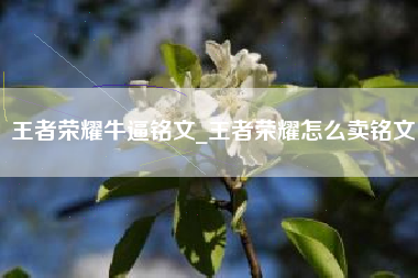 王者荣耀牛逼铭文_王者荣耀怎么卖铭文