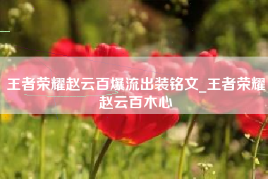 王者荣耀赵云百爆流出装铭文_王者荣耀赵云百木心