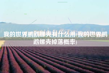 我的世界鹦鹉螺壳有什么用(我的世界鹦鹉螺壳掉落概率)