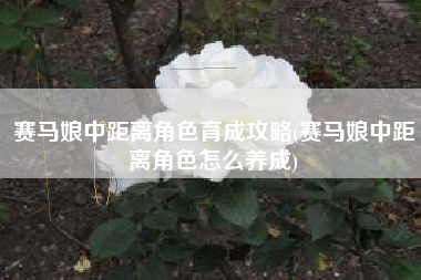 赛马娘中距离角色育成攻略(赛马娘中距离角色怎么养成)