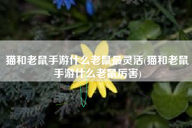 猫和老鼠手游什么老鼠最灵活(猫和老鼠手游什么老鼠厉害)
