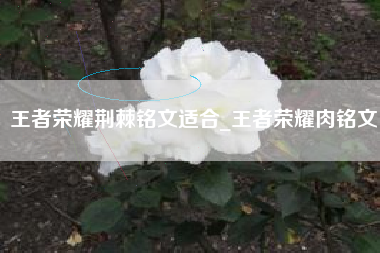 王者荣耀荆棘铭文适合_王者荣耀肉铭文