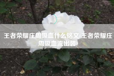 王者荣耀庄周吸血什么铭文(王者荣耀庄周吸血流出装)