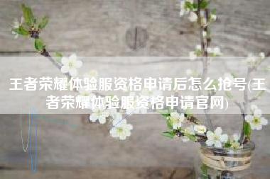 王者荣耀体验服资格申请后怎么抢号(王者荣耀体验服资格申请官网)