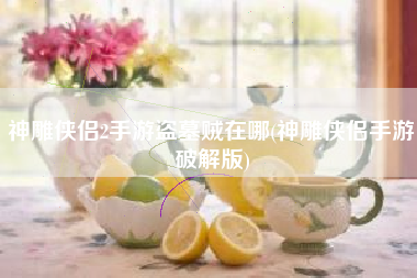 神雕侠侣2手游盗墓贼在哪(神雕侠侣手游破解版)