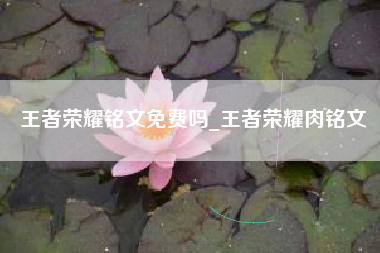 王者荣耀铭文免费吗_王者荣耀肉铭文