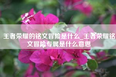 王者荣耀的铭文冒险是什么_王者荣耀铭文冒险专属是什么意思