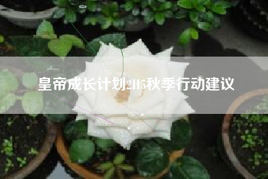 皇帝成长计划2H5秋季行动建议