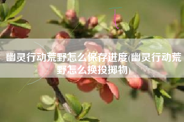幽灵行动荒野怎么保存进度(幽灵行动荒野怎么换投掷物)