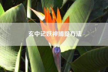 玄中记妖神捕捉方法