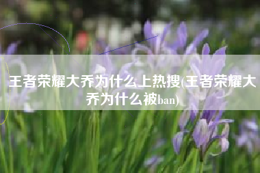 王者荣耀大乔为什么上热搜(王者荣耀大乔为什么被ban)