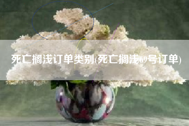 死亡搁浅订单类别(死亡搁浅69号订单)