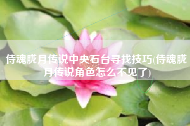 侍魂胧月传说中央石台寻找技巧(侍魂胧月传说角色怎么不见了)