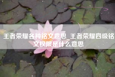 王者荣耀各种铭文意思_王者荣耀四级铭文权限是什么意思