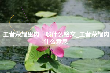 王者荣耀里肉一般什么铭文_王者荣耀肉什么意思