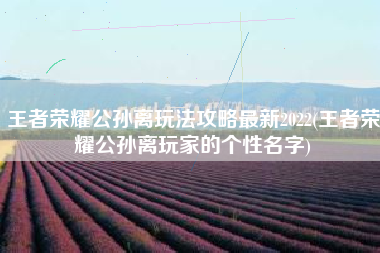 王者荣耀公孙离玩法攻略最新2022(王者荣耀公孙离玩家的个性名字)