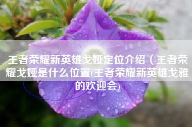 王者荣耀新英雄戈娅定位介绍（王者荣耀戈娅是什么位置(王者荣耀新英雄戈雅的欢迎会)