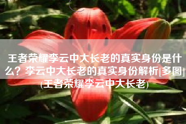 王者荣耀李云中大长老的真实身份是什么？李云中大长老的真实身份解析[多图](王者荣耀李云中大长老)