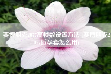 赛博朋克2077高帧数设置方法 (赛博朋克2077避孕套怎么用)
