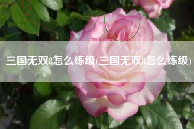 三国无双8怎么练级(三国无双8怎么练级)