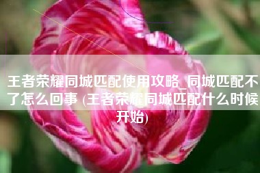王者荣耀同城匹配使用攻略_同城匹配不了怎么回事 (王者荣耀同城匹配什么时候开始)