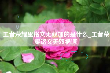 王者荣耀里铭文无双加的是什么_王者荣耀铭文无双祸源