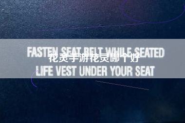 花灵手游花灵哪个好