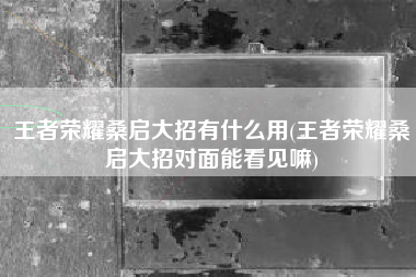 王者荣耀桑启大招有什么用(王者荣耀桑启大招对面能看见嘛)