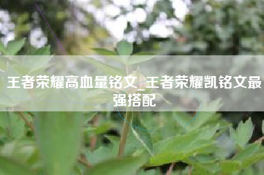 王者荣耀高血量铭文_王者荣耀凯铭文最强搭配