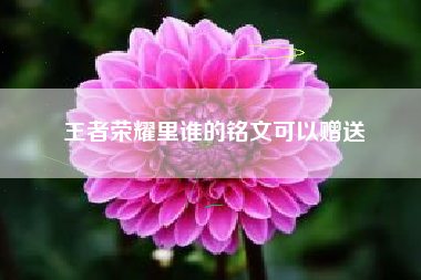 王者荣耀里谁的铭文可以赠送