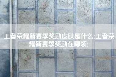 王者荣耀新赛季奖励皮肤是什么(王者荣耀新赛季奖励在哪领)