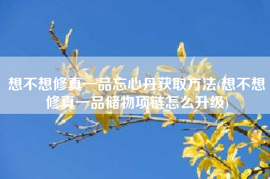 想不想修真一品忘心丹获取方法(想不想修真一品储物项链怎么升级)