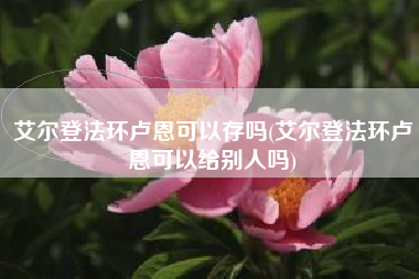 艾尔登法环卢恩可以存吗(艾尔登法环卢恩可以给别人吗)