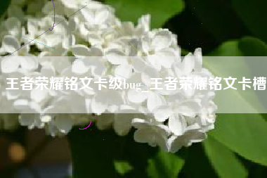 王者荣耀铭文卡级bug_王者荣耀铭文卡槽