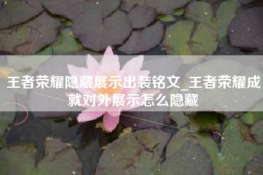 王者荣耀隐藏展示出装铭文_王者荣耀成就对外展示怎么隐藏