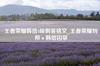 王者荣耀韩信4级刺客铭文_王者荣耀刘邦×韩信囚禁