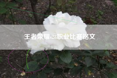 王者荣耀s28职业比赛铭文