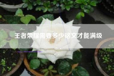 王者荣耀需要多少铭文才能满级