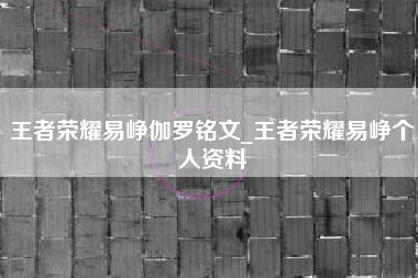 王者荣耀易峥伽罗铭文_王者荣耀易峥个人资料