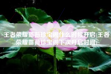 王者荣耀蔷薇珍宝阁什么时候开启(王者荣耀蔷薇珍宝阁下次开启时间)