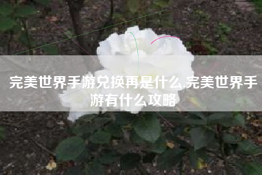 完美世界手游兑换再是什么,完美世界手游有什么攻略
