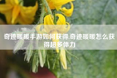 奇迹暖暖手游如何获得,奇迹暖暖怎么获得超多体力