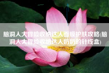 脑洞人大冒险收纳达人面膜护肤攻略(脑洞人大冒险收纳达人奶奶的针线盒)