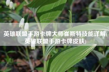 英雄联盟手游卡牌大师崔斯特技能详解(英雄联盟手游卡牌皮肤)