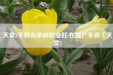 天堂2手游有单刷职业好,在国产手游《天堂2