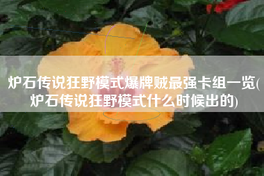 炉石传说狂野模式爆牌贼最强卡组一览(炉石传说狂野模式什么时候出的)