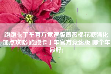 跑跑卡丁车官方竞速版蔷薇棉花糖强化加点攻略(跑跑卡丁车官方竞速版 哪个车最好)