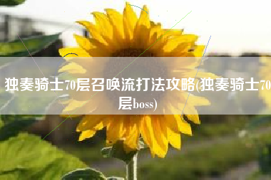 独奏骑士70层召唤流打法攻略(独奏骑士70层boss)