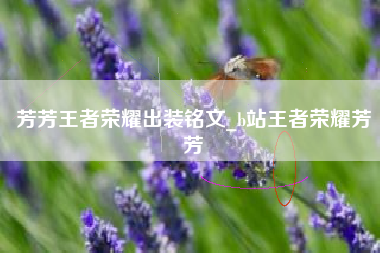 芳芳王者荣耀出装铭文_b站王者荣耀芳芳